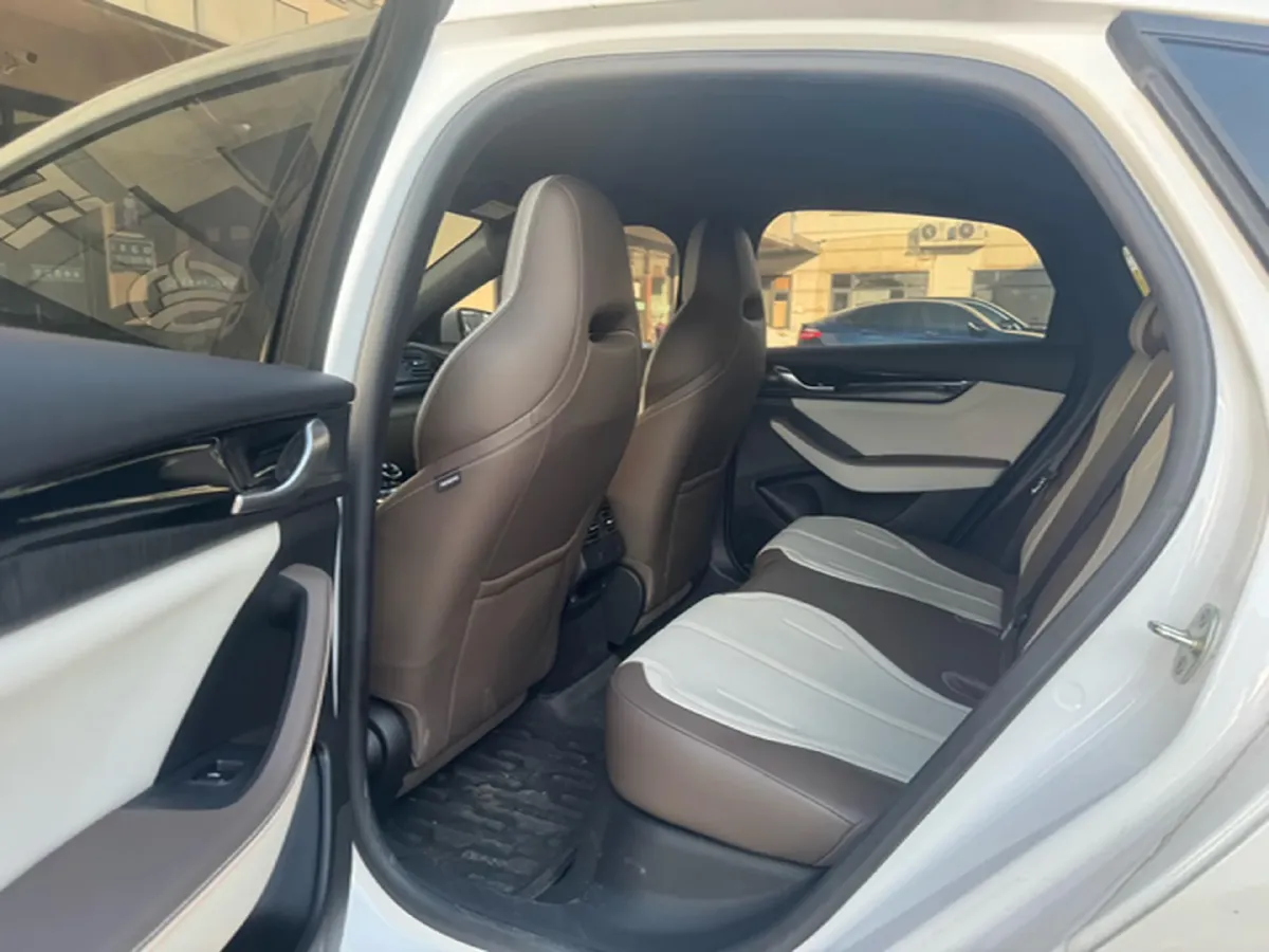 2024 BYD Qin Plus 1.5L 110HP L4 E-CVT PHEV 8.32KWH,autocango,china used car exporter,china ev exporter,chinese used car exporter,chinese used ev exporter