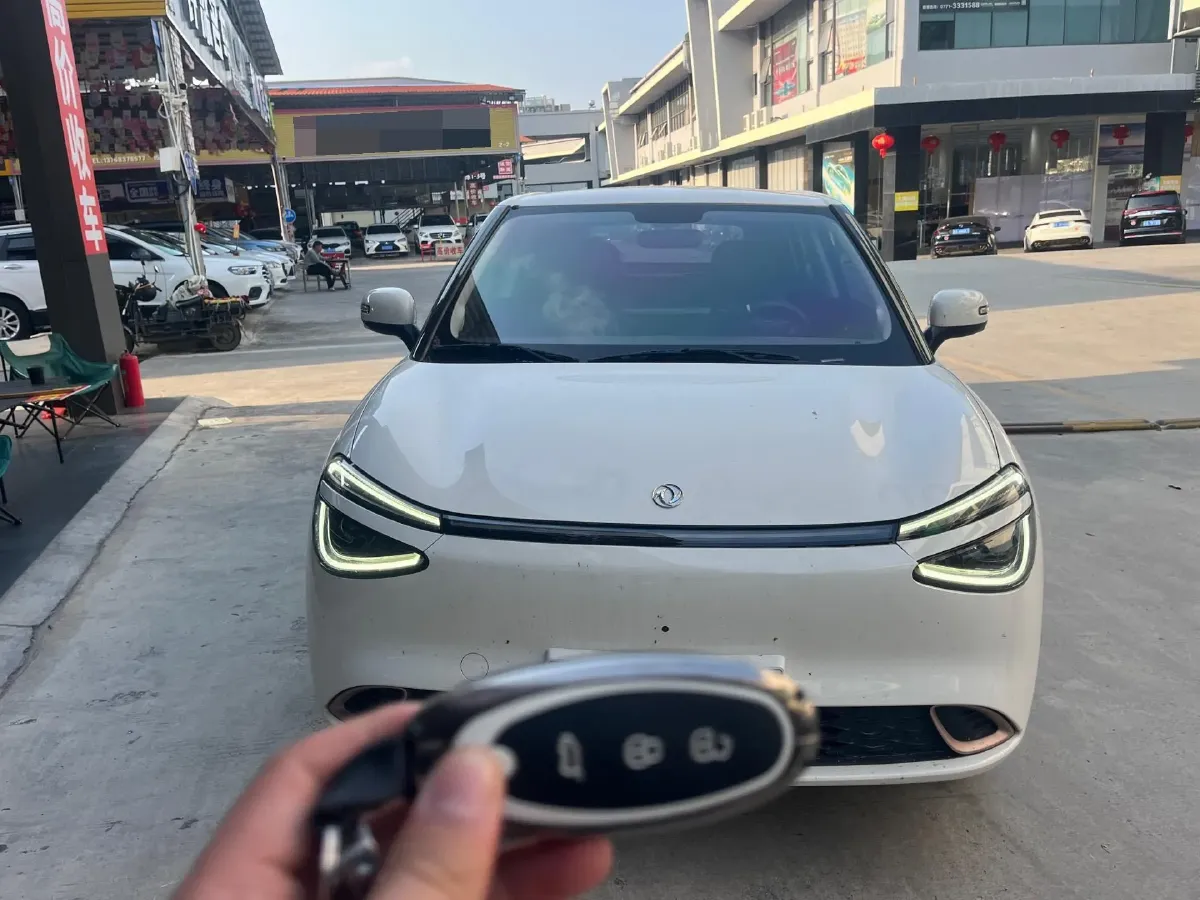 2024 DongFeng Nammi 01 BEV 31.45KWH,autocango,china used car exporter,china ev exporter,chinese used car exporter,chinese used ev exporter