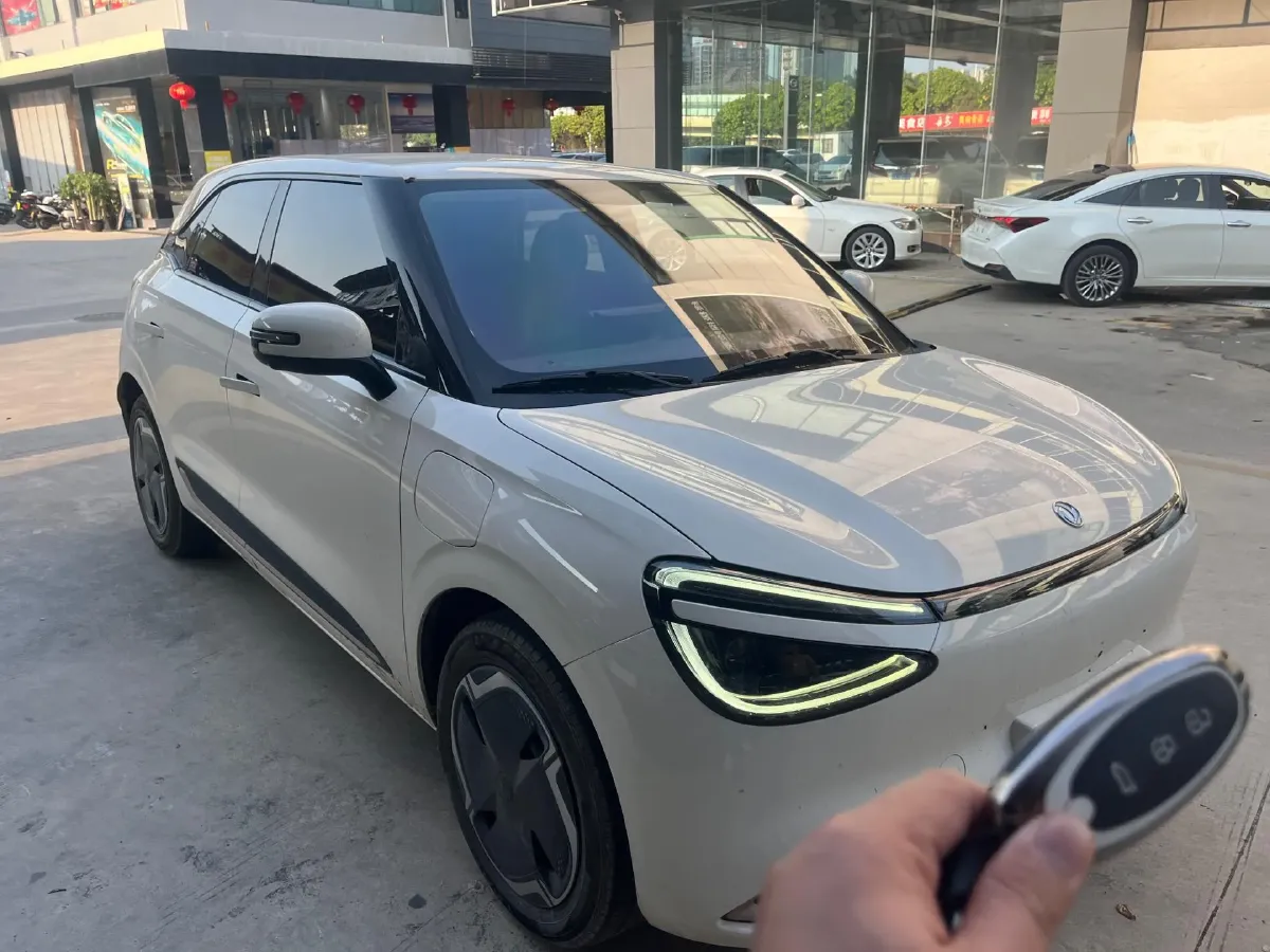 2024 DongFeng Nammi 01 BEV 31.45KWH,autocango,china used car exporter,china ev exporter,chinese used car exporter,chinese used ev exporter