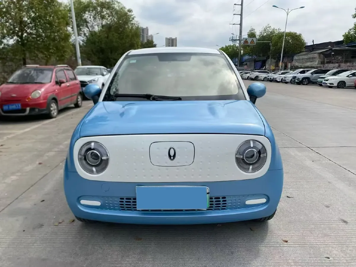 2021 Ora BlackCat BEV 28.5KWH,autocango,china used car exporter,china ev exporter,chinese used car exporter,chinese used ev exporter