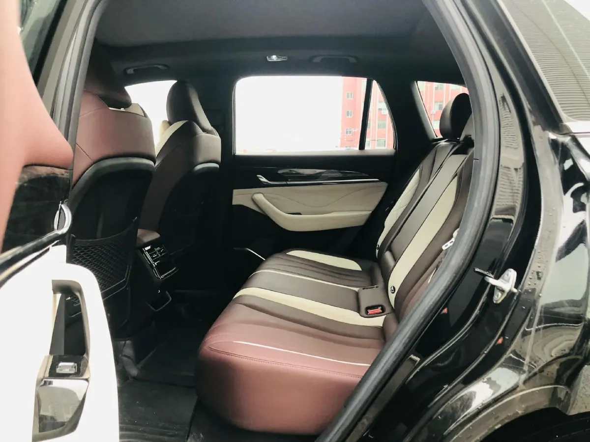 2024 Geely Monjaro 2.0T 238HP L4 8AT,autocango,china used car exporter,china ev exporter,chinese used car exporter,chinese used ev exporter