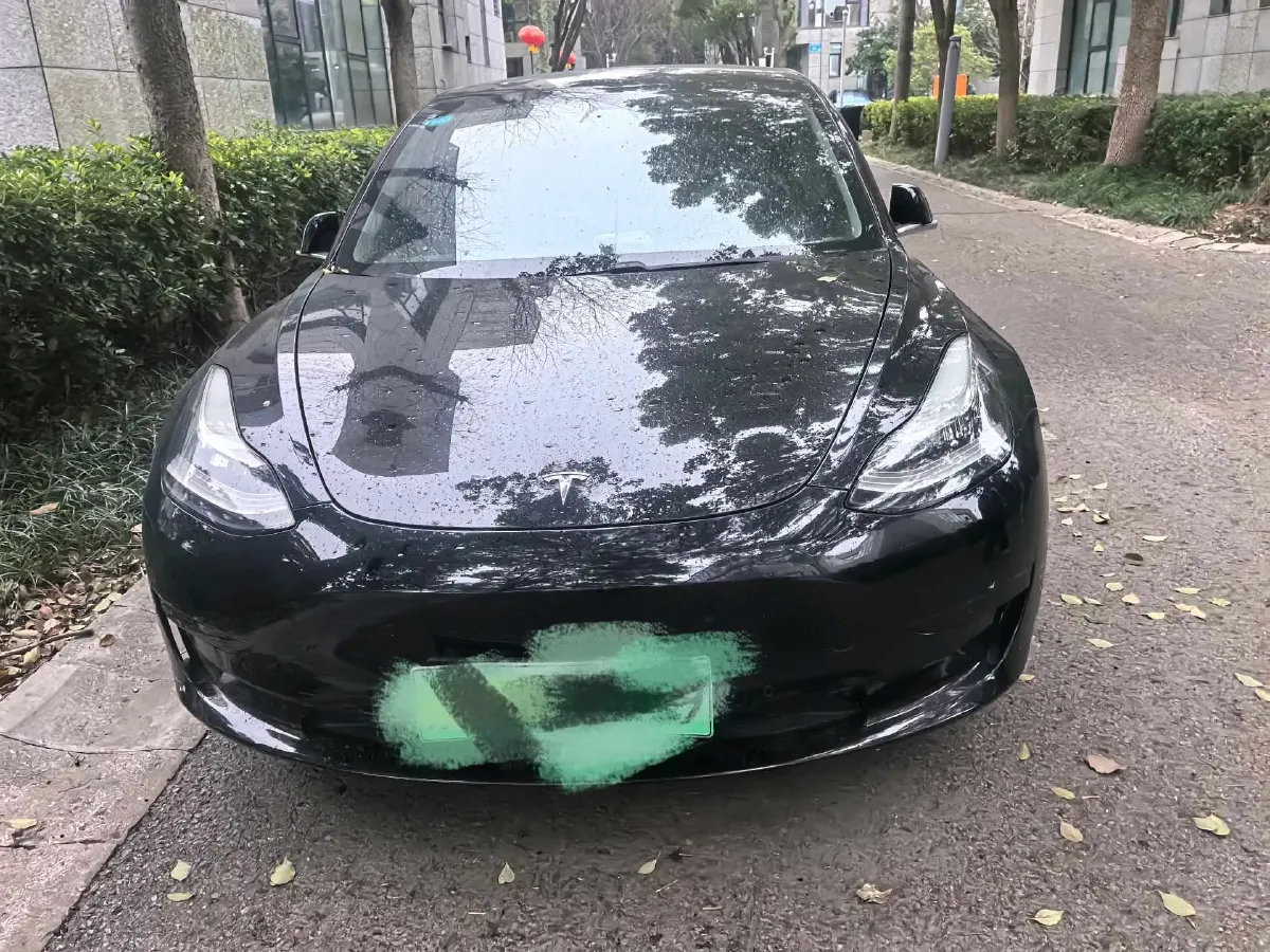 2020 Tesla Model 3 BEV 52KWH,autocango,china used car exporter,china ev exporter,chinese used car exporter,chinese used ev exporter