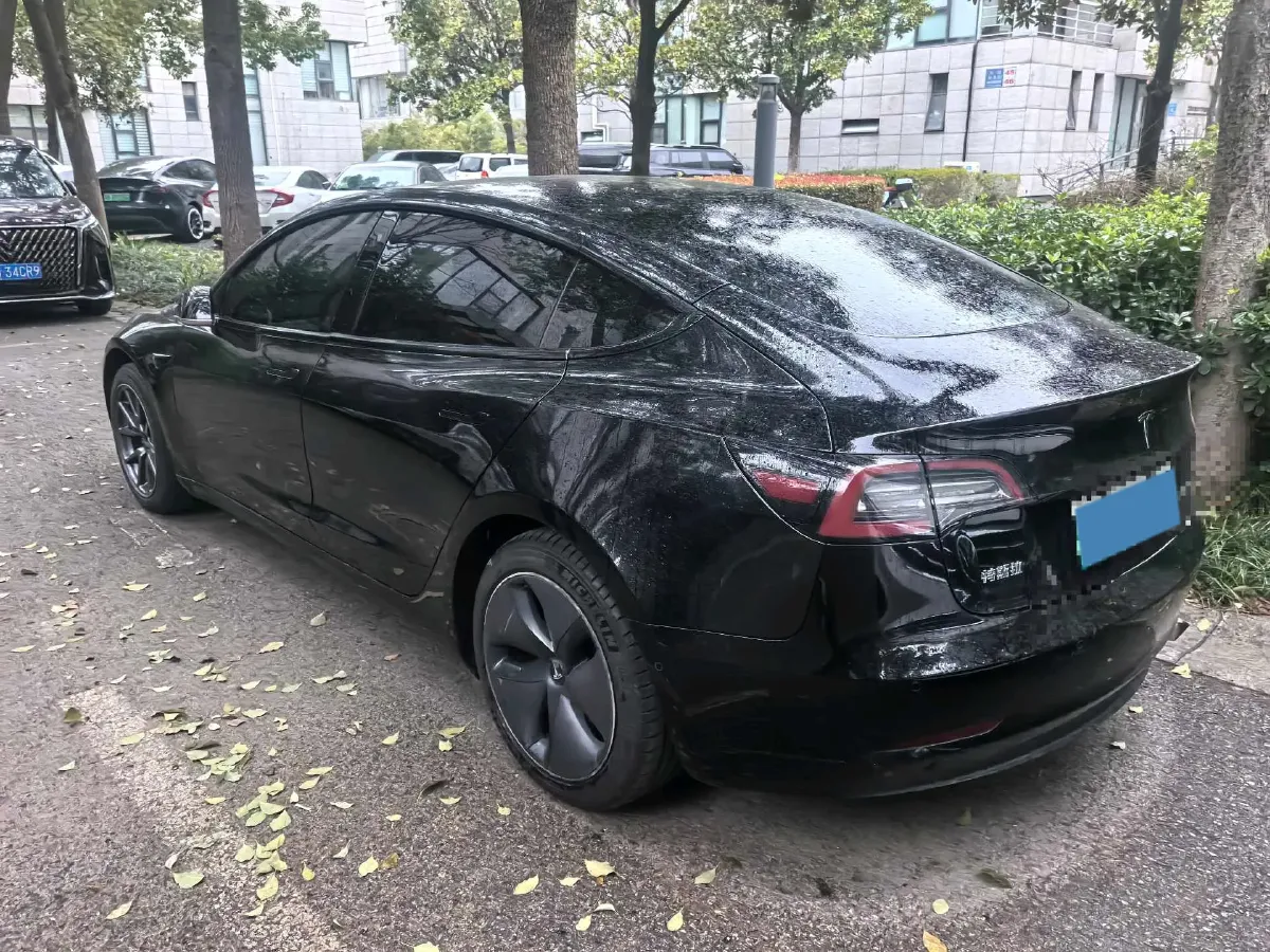 2020 Tesla Model 3 BEV 52KWH,autocango,china used car exporter,china ev exporter,chinese used car exporter,chinese used ev exporter