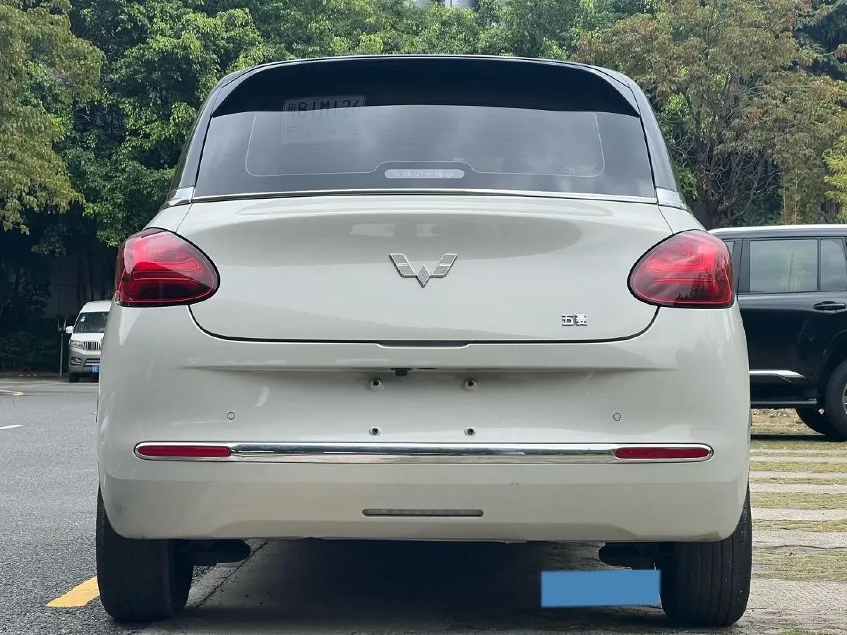 2023 WuLing BinGuo BEV 37.9KWH,autocango,china used car exporter,china ev exporter,chinese used car exporter,chinese used ev exporter