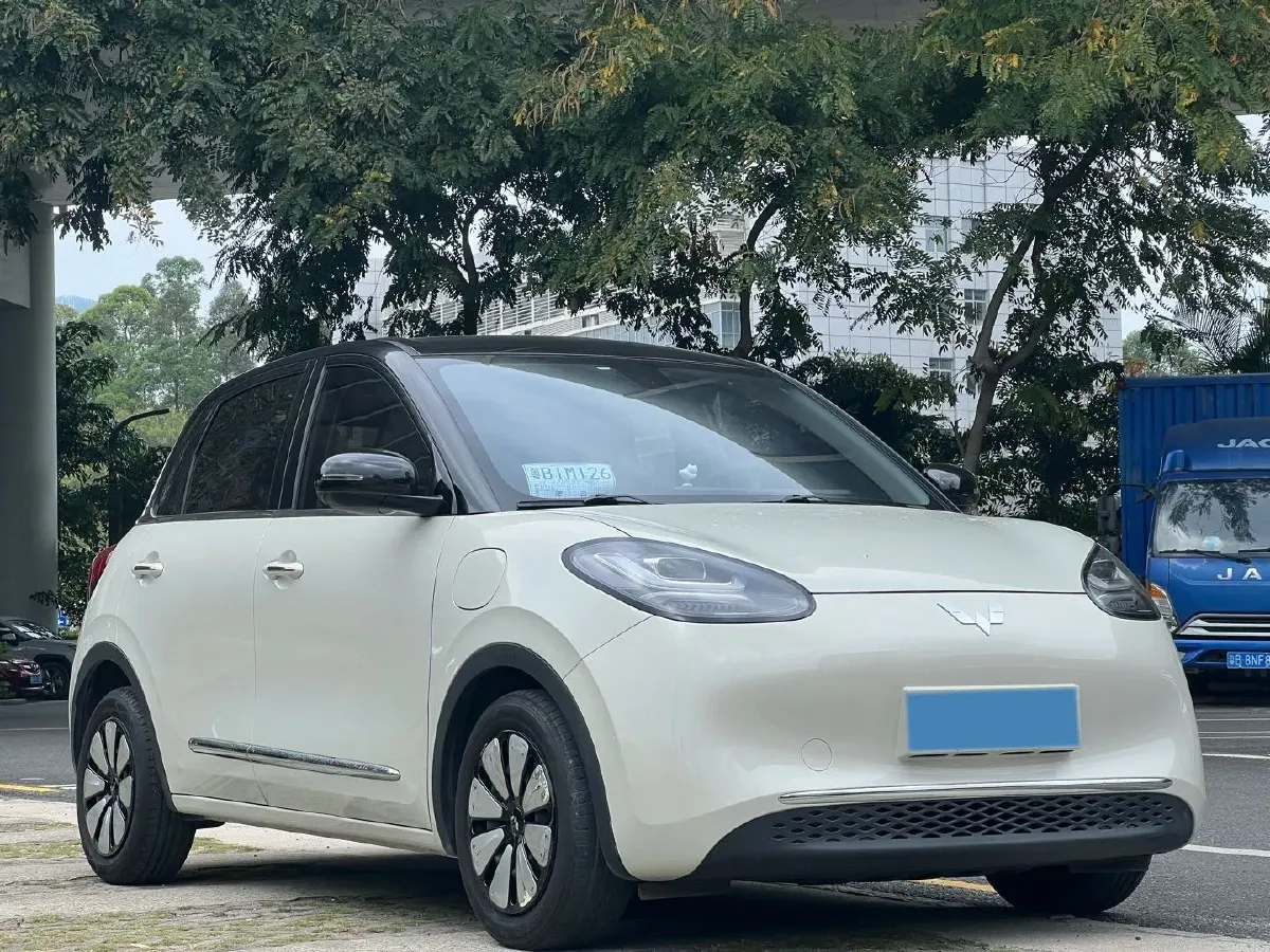 2023 WuLing BinGuo BEV 37.9KWH,autocango,china used car exporter,china ev exporter,chinese used car exporter,chinese used ev exporter