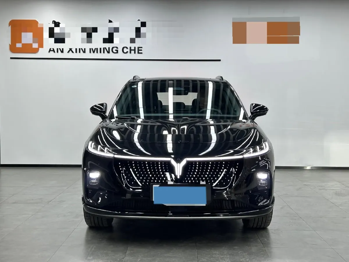 2024 Voyah ZhiYin BEV 77KWH,autocango,china used car exporter,china ev exporter,chinese used car exporter,chinese used ev exporter