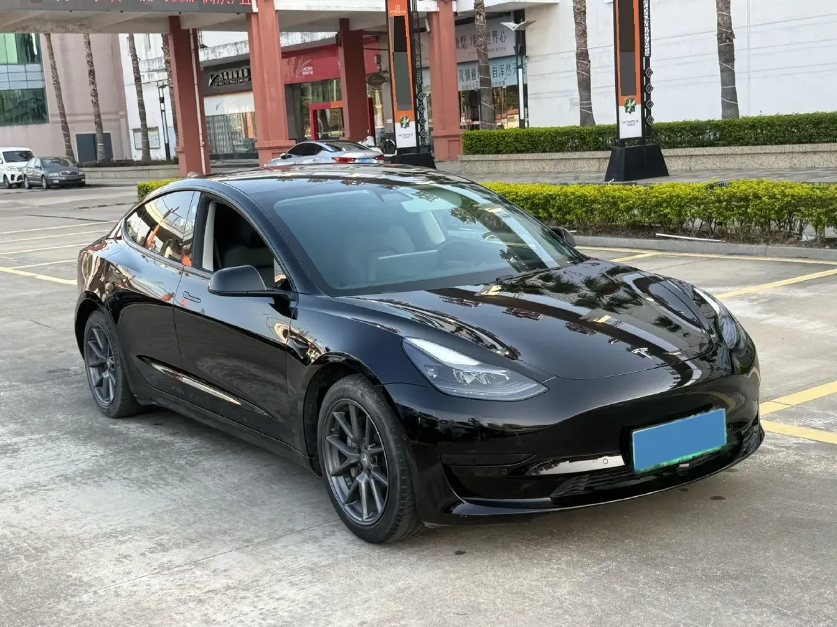 2021 Tesla Model 3 BEV 55KWH,autocango,china used car exporter,china ev exporter,chinese used car exporter,chinese used ev exporter