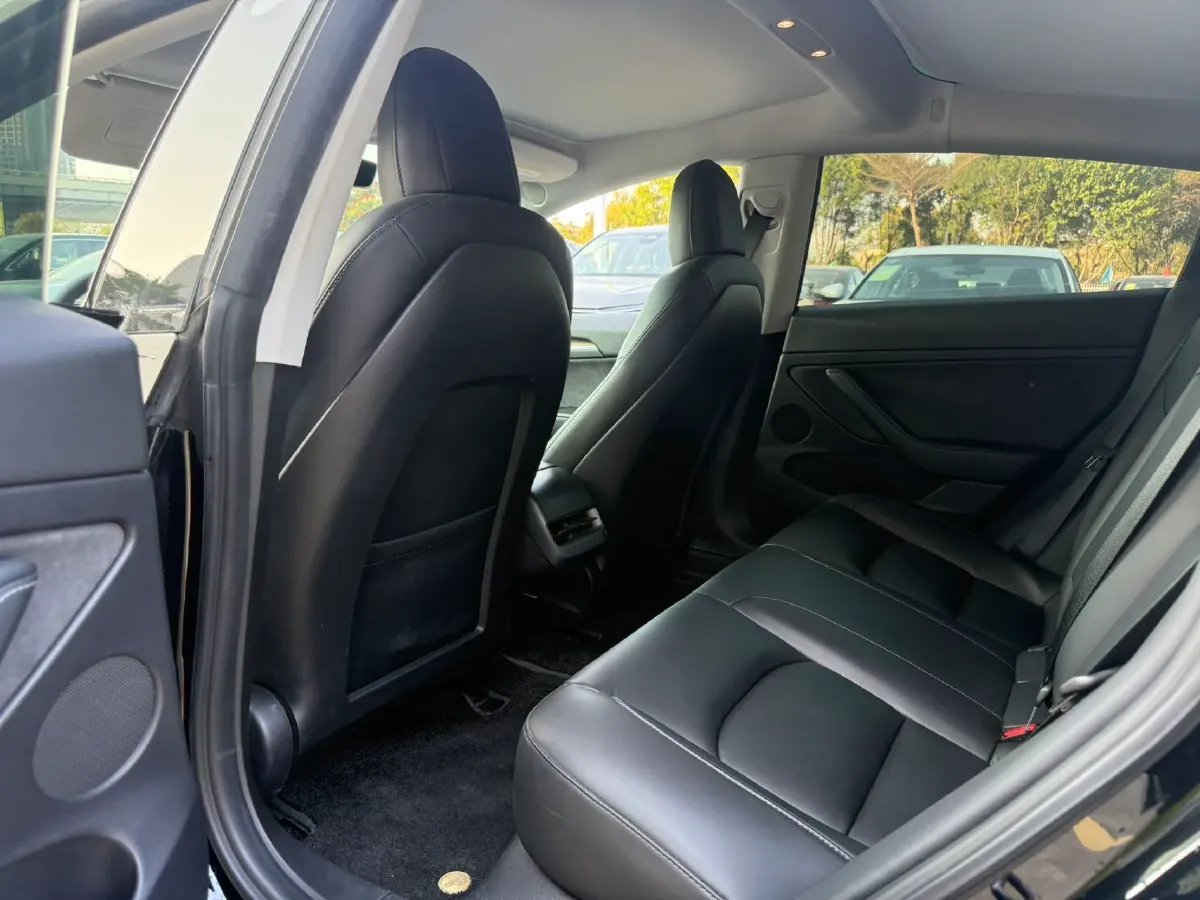 2021 Tesla Model 3 BEV 55KWH,autocango,china used car exporter,china ev exporter,chinese used car exporter,chinese used ev exporter