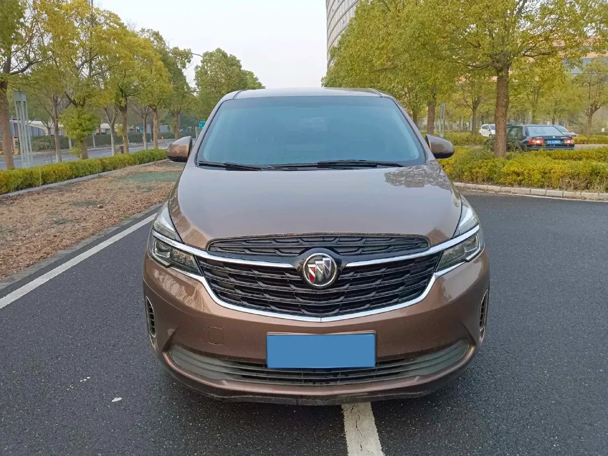 2020 Buick GL8 2.0T 237HP L4 9AT,autocango,china used car exporter,china ev exporter,chinese used car exporter,chinese used ev exporter