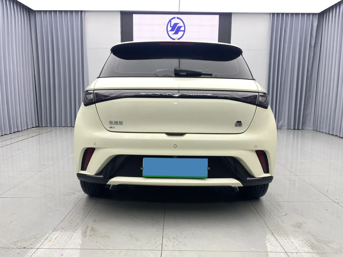 2023 BYD Dolphin BEV 44.928KWH,autocango,china used car exporter,china ev exporter,chinese used car exporter,chinese used ev exporter