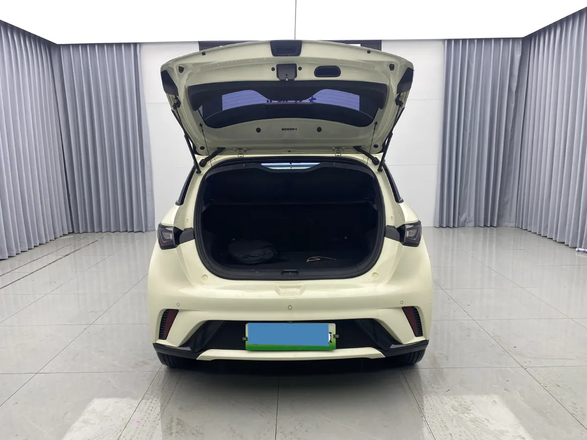 2023 BYD Dolphin BEV 44.928KWH,autocango,china used car exporter,china ev exporter,chinese used car exporter,chinese used ev exporter