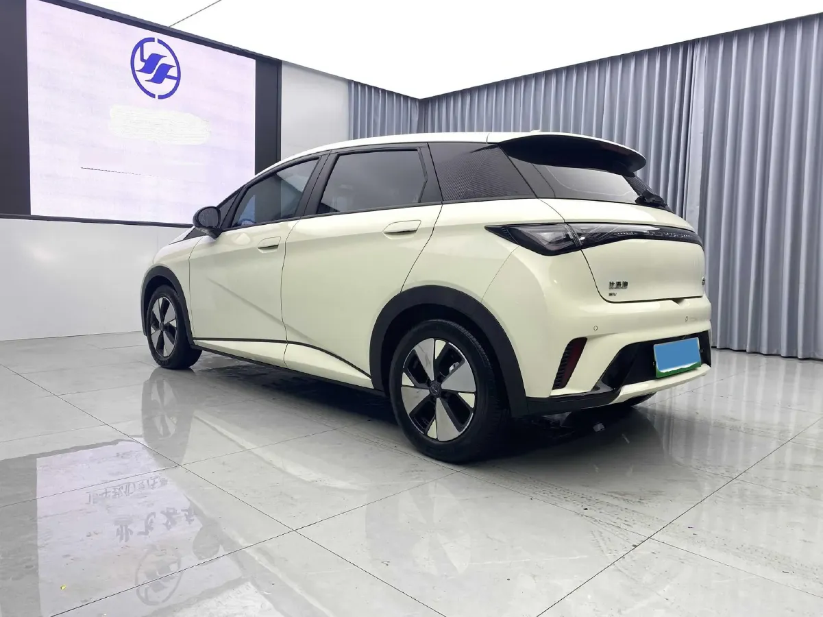2023 BYD Dolphin BEV 44.928KWH,autocango,china used car exporter,china ev exporter,chinese used car exporter,chinese used ev exporter