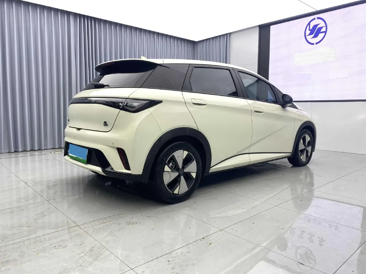 2023 BYD Dolphin BEV 44.928KWH,autocango,china used car exporter,china ev exporter,chinese used car exporter,chinese used ev exporter