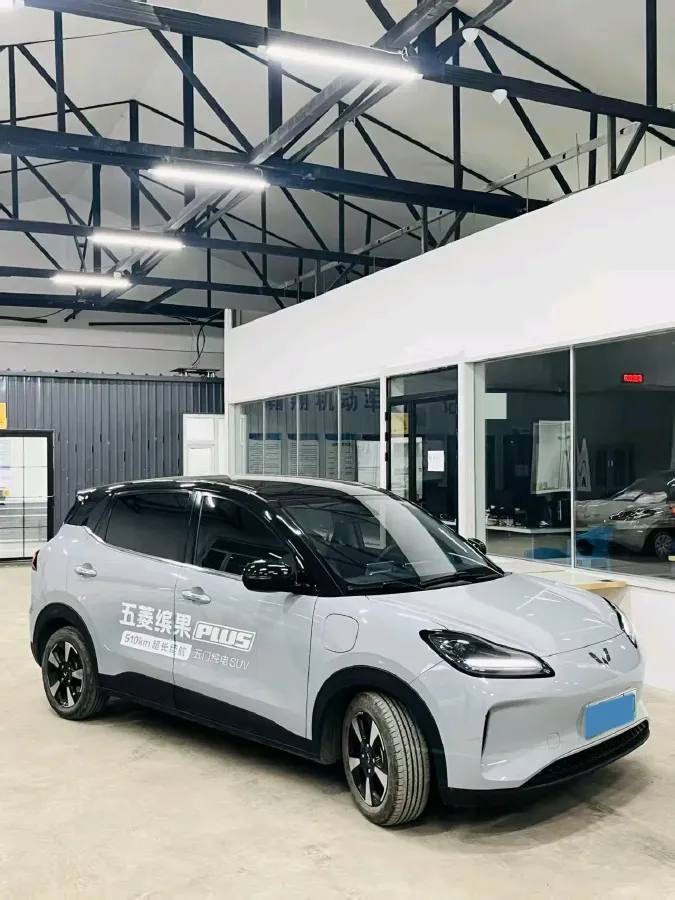 2024 WuLing BinGuoPLUS BEV 50.6KWH,autocango,china used car exporter,china ev exporter,chinese used car exporter,chinese used ev exporter