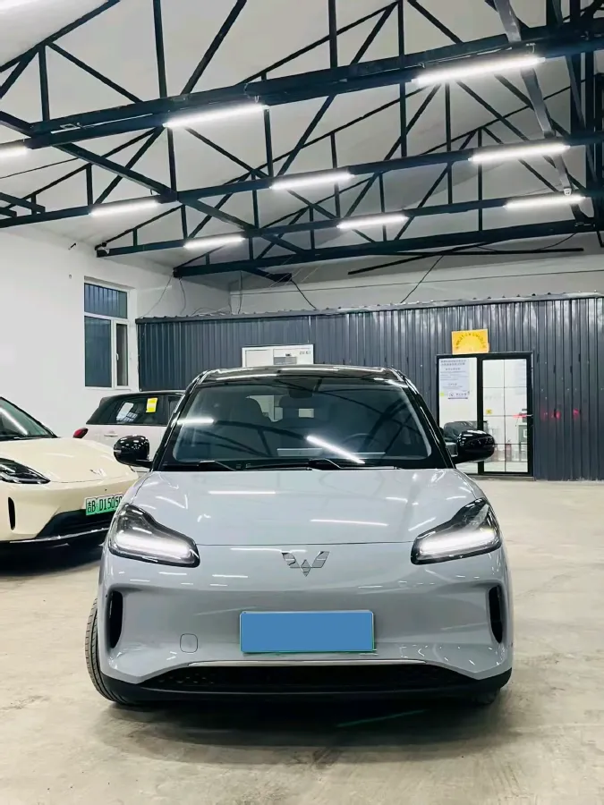 2024 WuLing BinGuoPLUS BEV 50.6KWH,autocango,china used car exporter,china ev exporter,chinese used car exporter,chinese used ev exporter