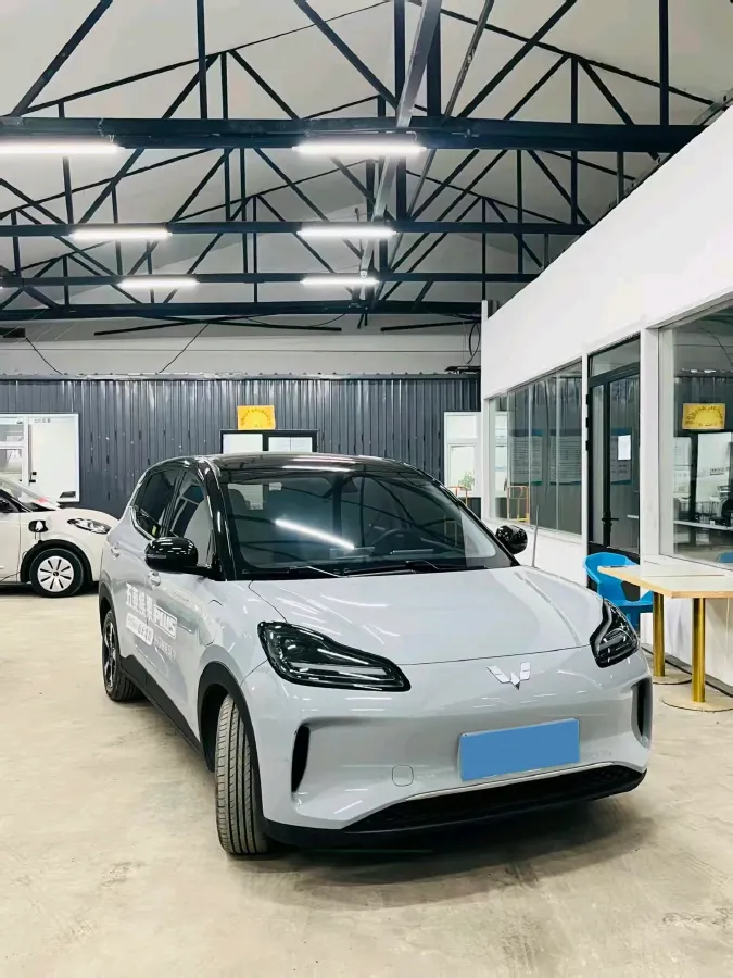 2024 WuLing BinGuoPLUS BEV 50.6KWH,autocango,china used car exporter,china ev exporter,chinese used car exporter,chinese used ev exporter