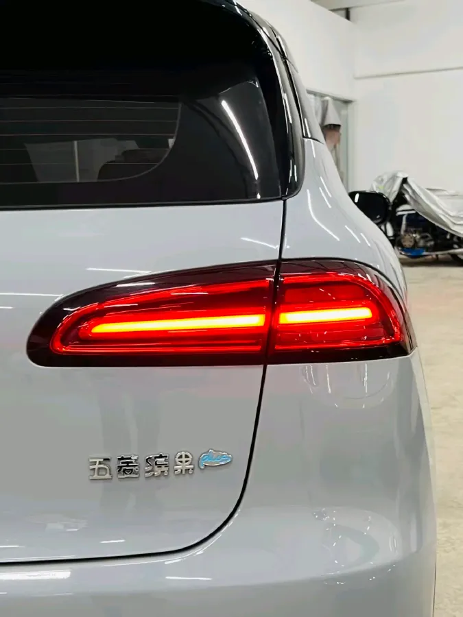 2024 WuLing BinGuoPLUS BEV 50.6KWH,autocango,china used car exporter,china ev exporter,chinese used car exporter,chinese used ev exporter