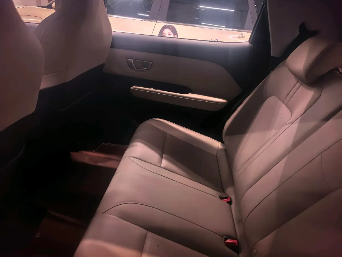 2024 WuLing BinGuoPLUS BEV 50.6KWH,autocango,china used car exporter,china ev exporter,chinese used car exporter,chinese used ev exporter