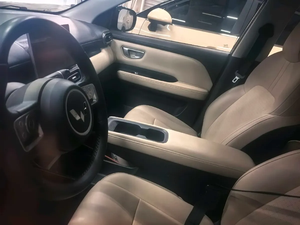 2024 WuLing BinGuoPLUS BEV 50.6KWH,autocango,china used car exporter,china ev exporter,chinese used car exporter,chinese used ev exporter