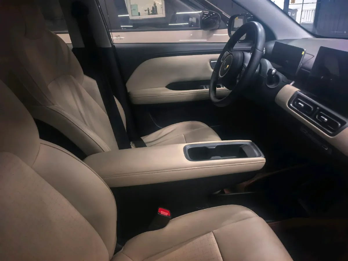 2024 WuLing BinGuoPLUS BEV 50.6KWH,autocango,china used car exporter,china ev exporter,chinese used car exporter,chinese used ev exporter