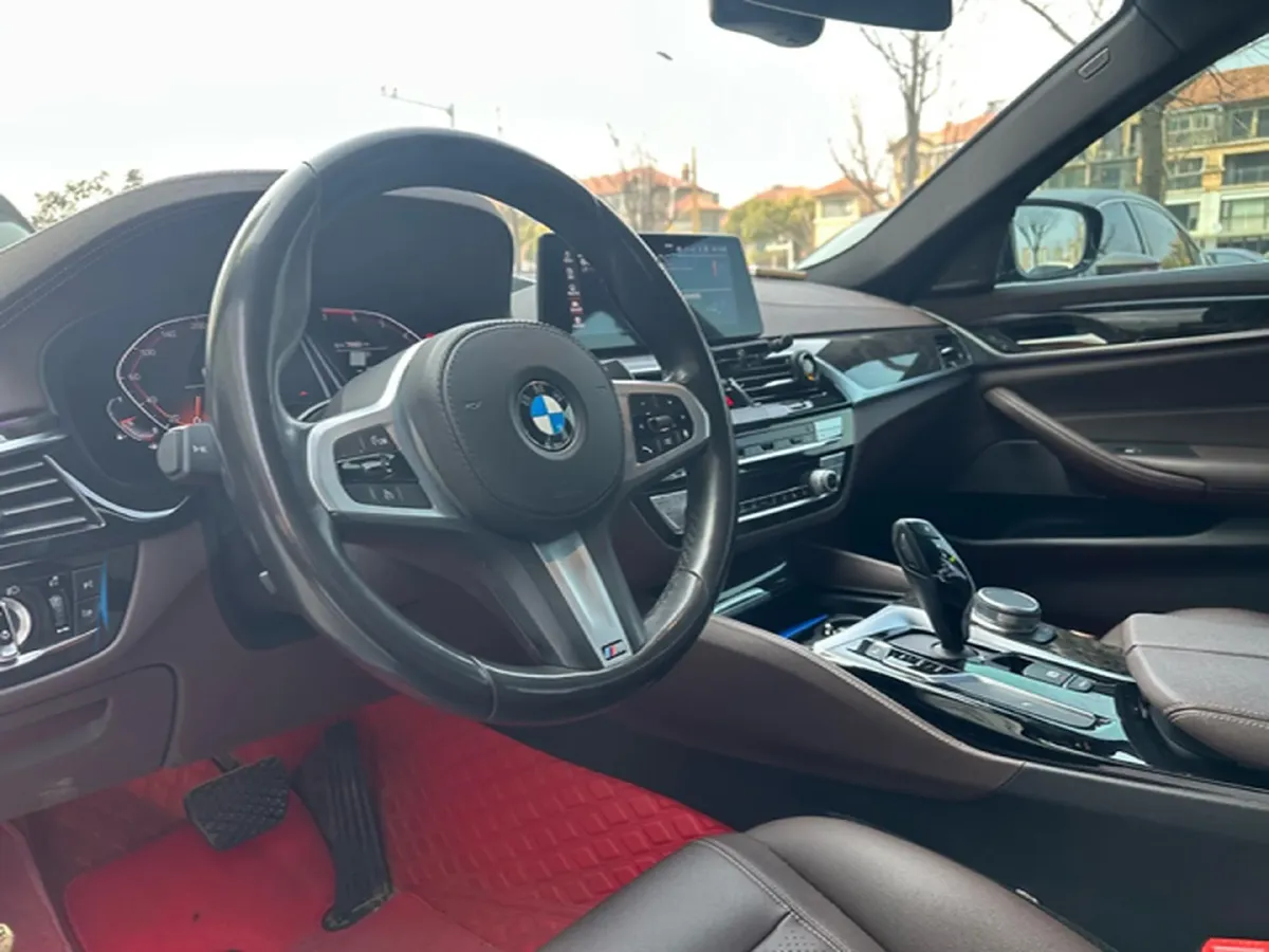 2020 BMW 5 Series 2.0T 184HP L4 8AT,autocango,china used car exporter,china ev exporter,chinese used car exporter,chinese used ev exporter