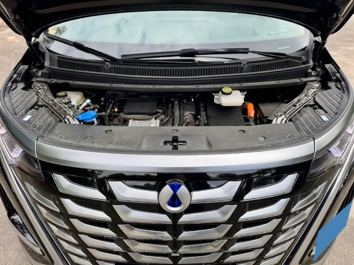 2025 Denza D9 1.5T 156HP L4 E-CVT PHEV 40KWH,autocango,china used car exporter,china ev exporter,chinese used car exporter,chinese used ev exporter