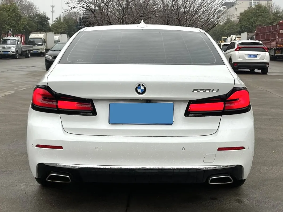 2021 BMW 5 Series 2.0T 252HP L4 8AT,autocango,china used car exporter,china ev exporter,chinese used car exporter,chinese used ev exporter