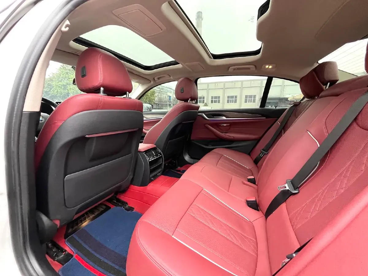 2021 BMW 5 Series 2.0T 252HP L4 8AT,autocango,china used car exporter,china ev exporter,chinese used car exporter,chinese used ev exporter