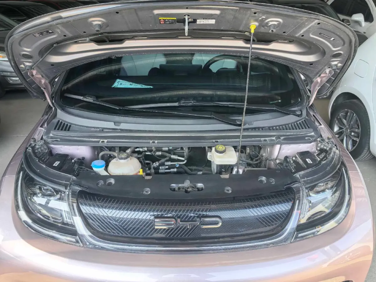 2023 BYD Dolphin BEV 44.928KWH,autocango,china used car exporter,china ev exporter,chinese used car exporter,chinese used ev exporter