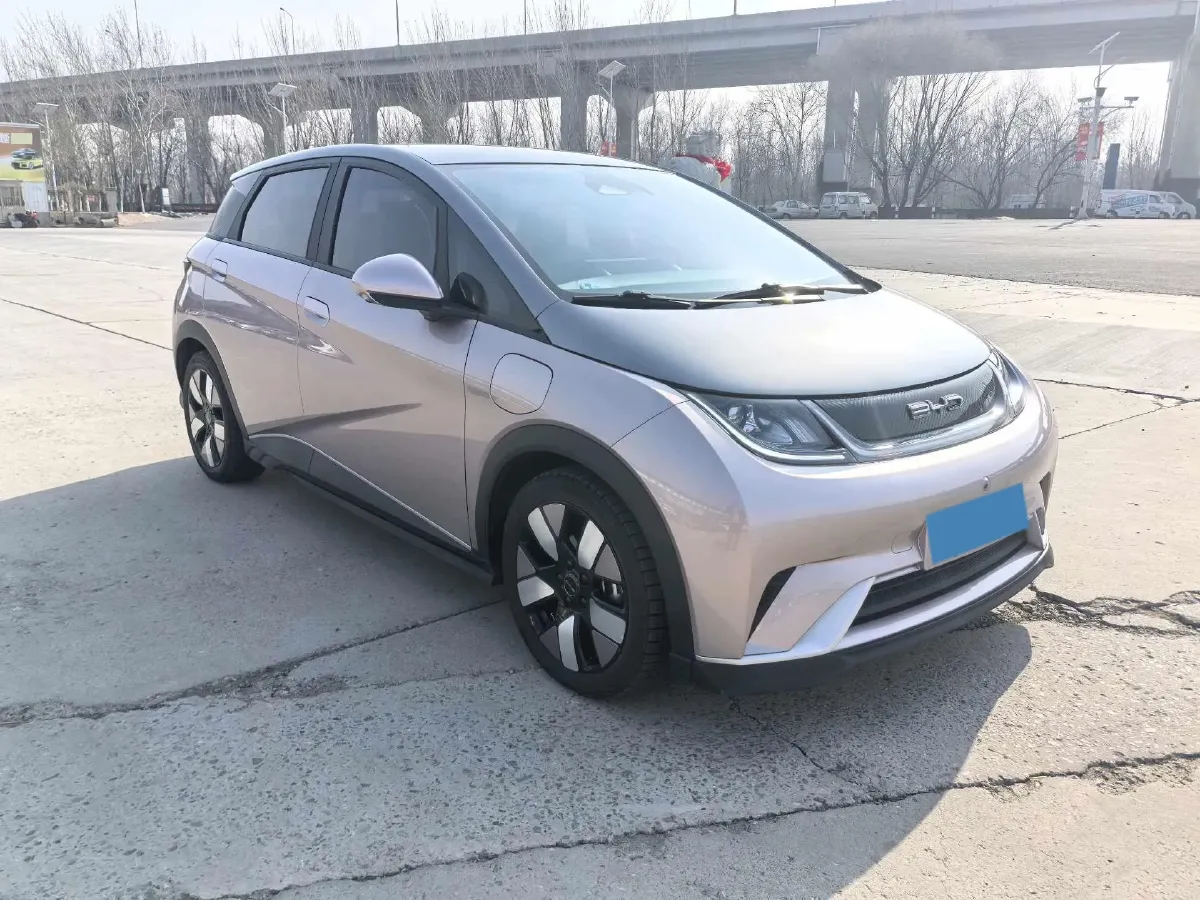2023 BYD Dolphin BEV 44.928KWH,autocango,china used car exporter,china ev exporter,chinese used car exporter,chinese used ev exporter