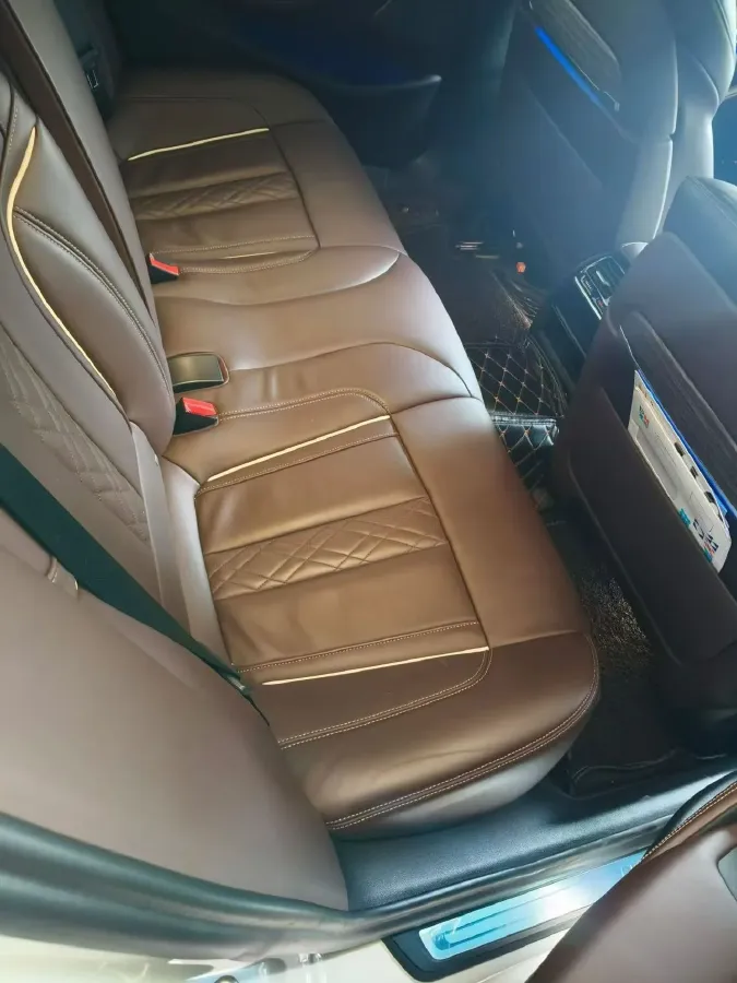 2020 BMW 5 Series 2.0T 184HP L4 8AT PHEV 17.7KWH,autocango,china used car exporter,china ev exporter,chinese used car exporter,chinese used ev exporter