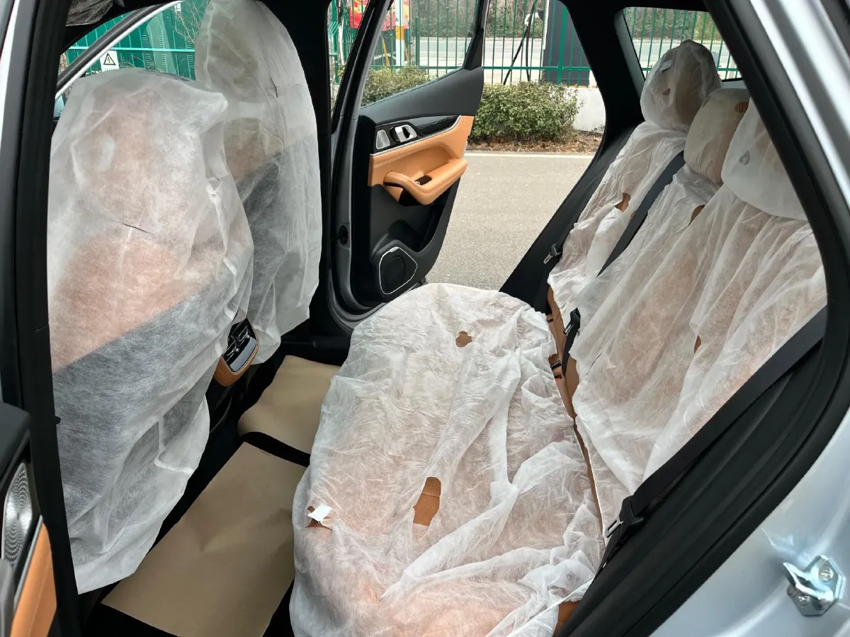 2025 Geely StarRay 1.5T 181HP L4 7DCT,autocango,china used car exporter,china ev exporter,chinese used car exporter,chinese used ev exporter