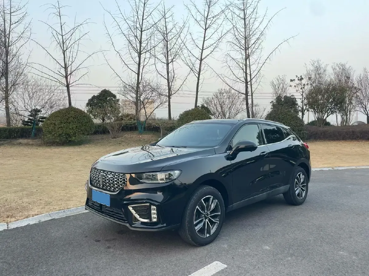 2021 WEY VV5 1.5T 171HP L4 7DCT,autocango,china used car exporter,china ev exporter,chinese used car exporter,chinese used ev exporter