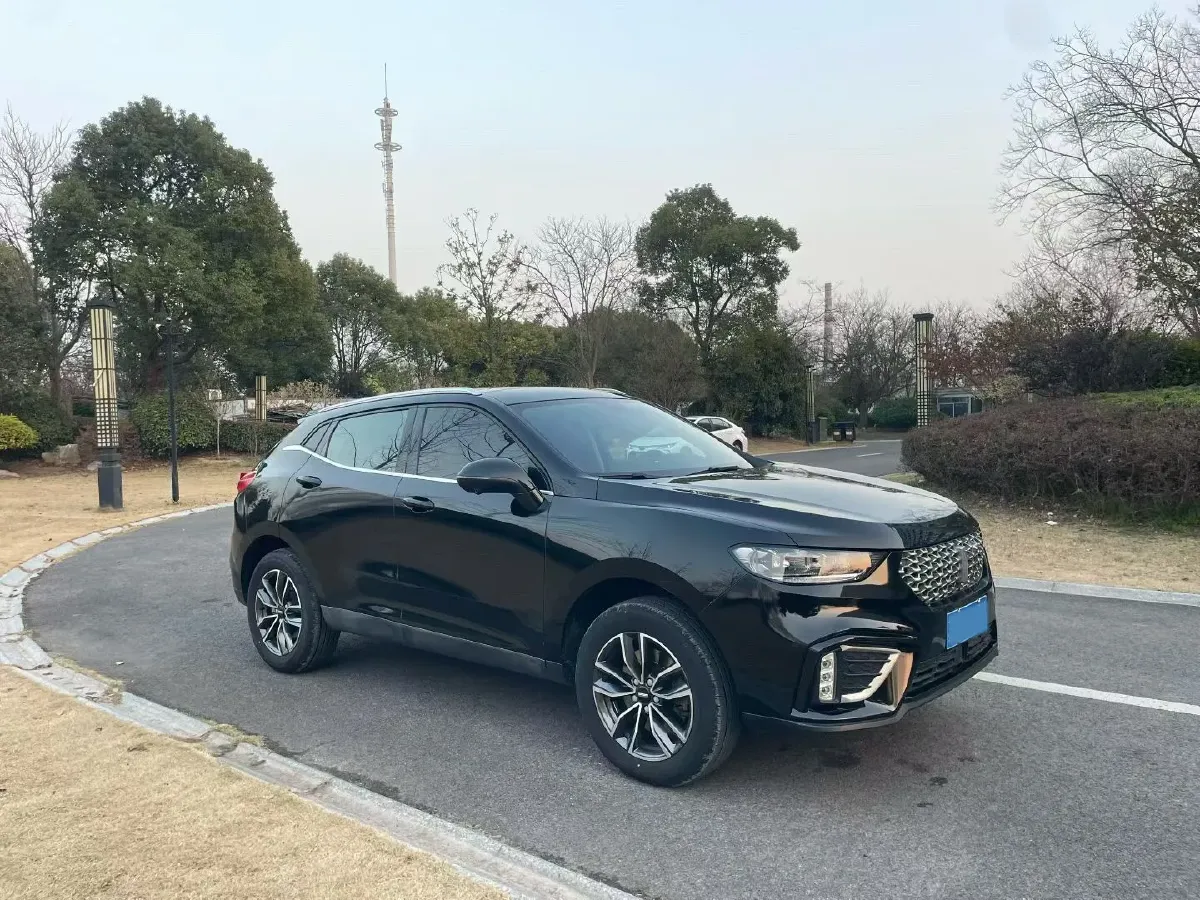 2021 WEY VV5 1.5T 171HP L4 7DCT,autocango,china used car exporter,china ev exporter,chinese used car exporter,chinese used ev exporter