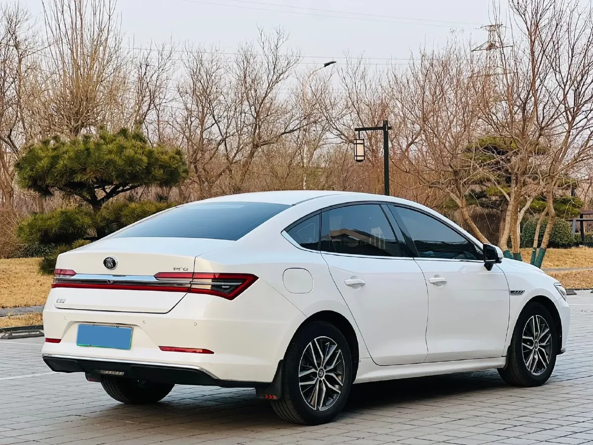 2019 BYD Qin Pro BEV 53.1KWH,autocango,china used car exporter,china ev exporter,chinese used car exporter,chinese used ev exporter