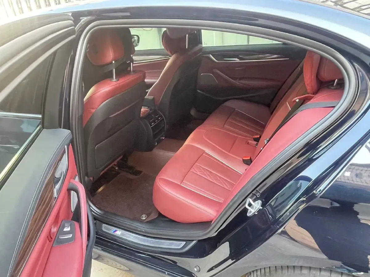 2021 BMW 5 Series 2.0T 252HP L4 8AT,autocango,china used car exporter,china ev exporter,chinese used car exporter,chinese used ev exporter