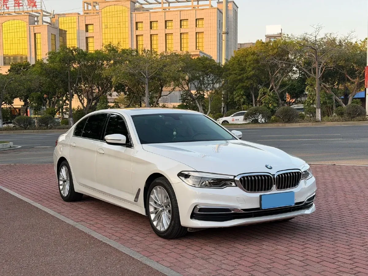 2020 BMW 5 Series 2.0T 252HP L4 8AT,autocango,china used car exporter,china ev exporter,chinese used car exporter,chinese used ev exporter