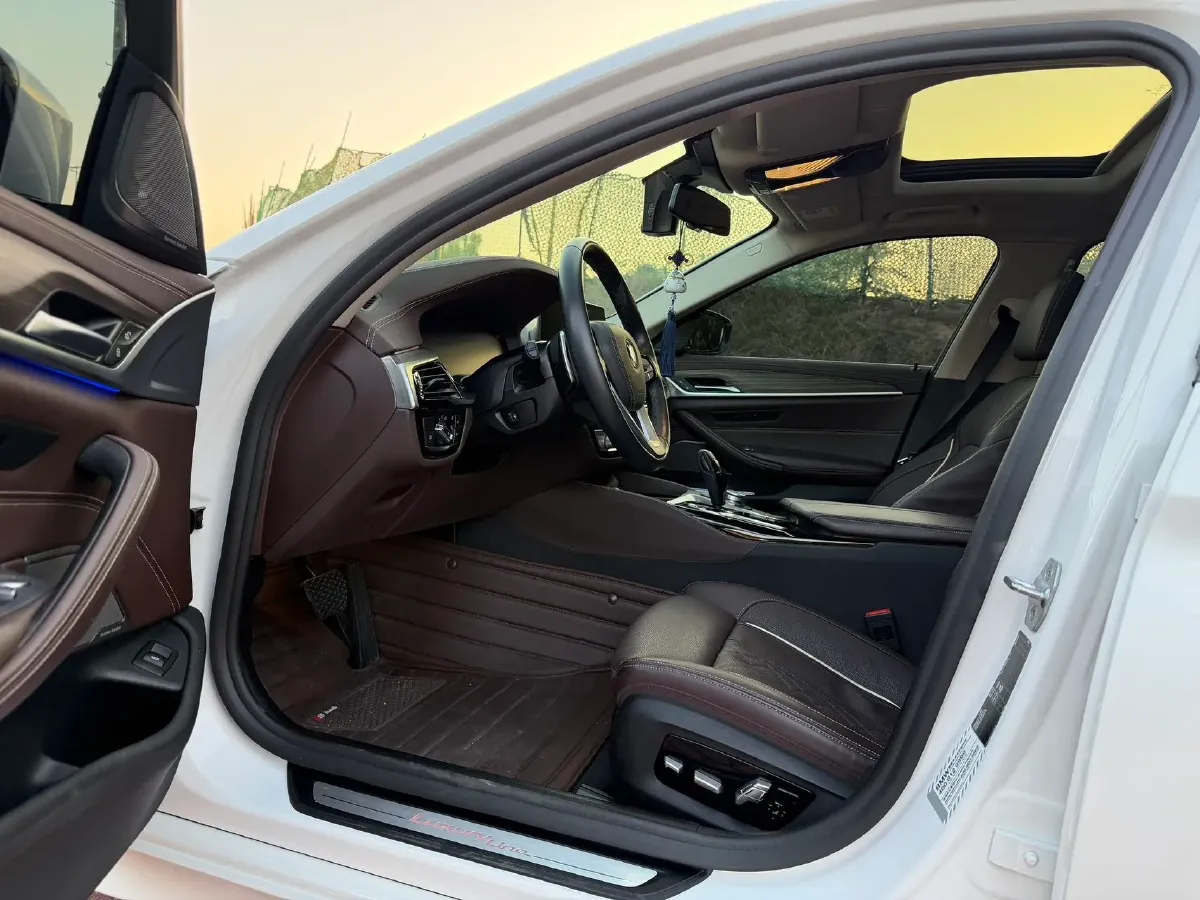 2020 BMW 5 Series 2.0T 252HP L4 8AT,autocango,china used car exporter,china ev exporter,chinese used car exporter,chinese used ev exporter