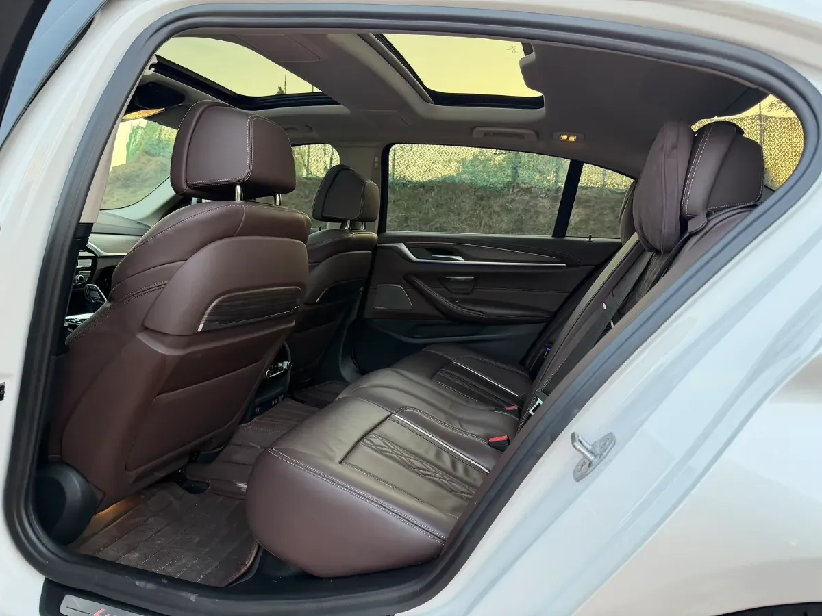 2020 BMW 5 Series 2.0T 252HP L4 8AT,autocango,china used car exporter,china ev exporter,chinese used car exporter,chinese used ev exporter