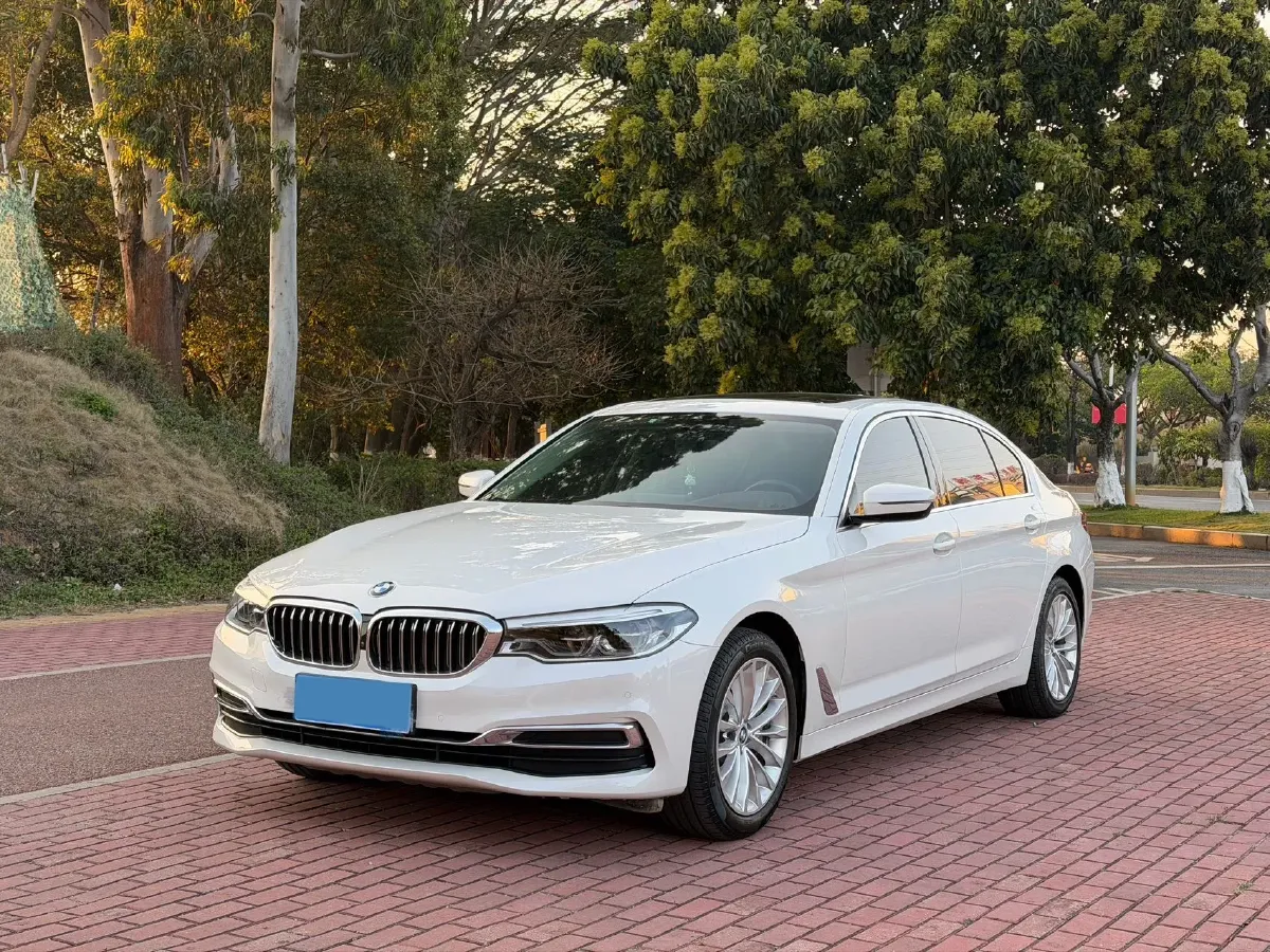 2020 BMW 5 Series 2.0T 252HP L4 8AT,autocango,china used car exporter,china ev exporter,chinese used car exporter,chinese used ev exporter