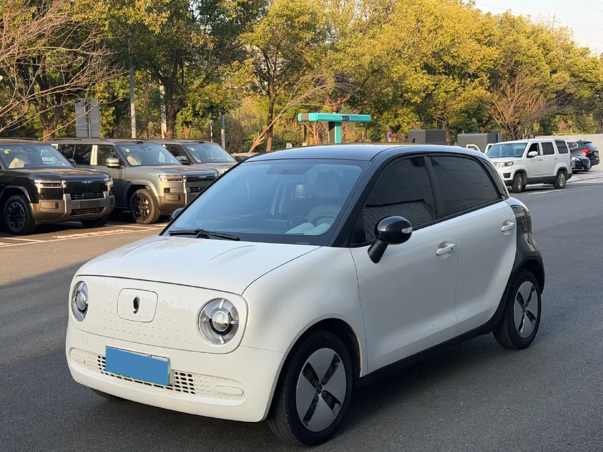 2019 Ora BlackCat BEV 28.5KWH,autocango,china used car exporter,china ev exporter,chinese used car exporter,chinese used ev exporter