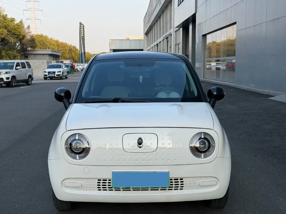 2019 Ora BlackCat BEV 28.5KWH,autocango,china used car exporter,china ev exporter,chinese used car exporter,chinese used ev exporter