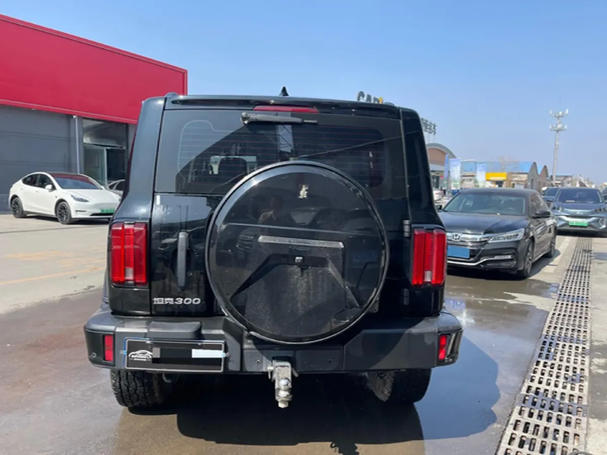 2023 Tank 300 2.0T 227HP L4 8AT,autocango,china used car exporter,china ev exporter,chinese used car exporter,chinese used ev exporter