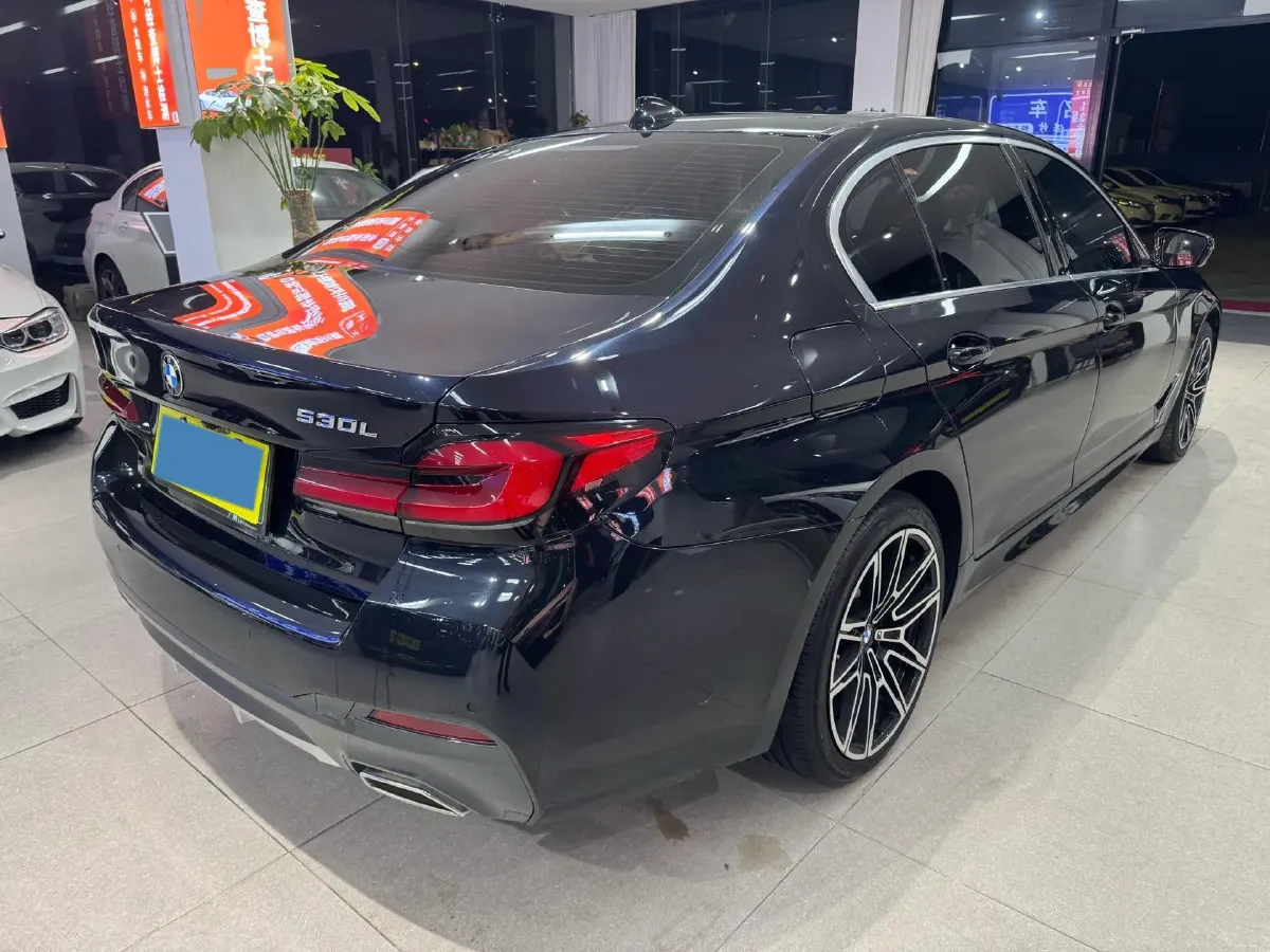 2021 BMW 5 Series 2.0T 252HP L4 8AT,autocango,china used car exporter,china ev exporter,chinese used car exporter,chinese used ev exporter