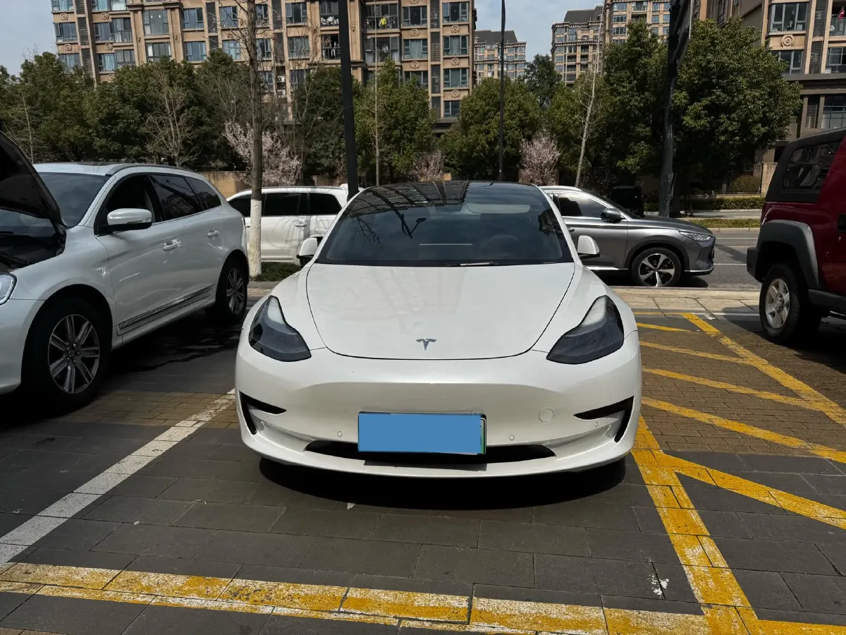 2021 Tesla Model 3 BEV 55KWH,autocango,china used car exporter,china ev exporter,chinese used car exporter,chinese used ev exporter