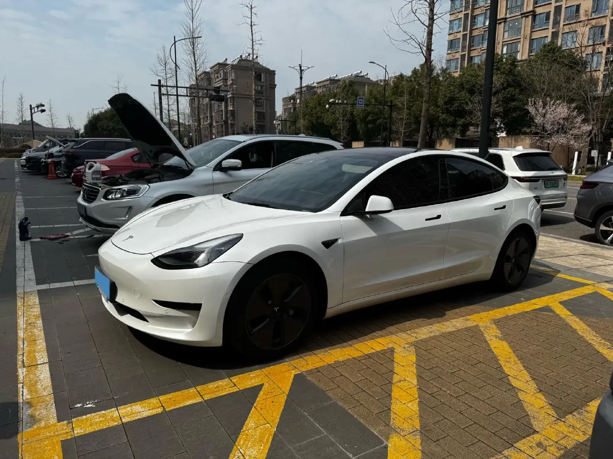 2021 Tesla Model 3 BEV 55KWH,autocango,china used car exporter,china ev exporter,chinese used car exporter,chinese used ev exporter