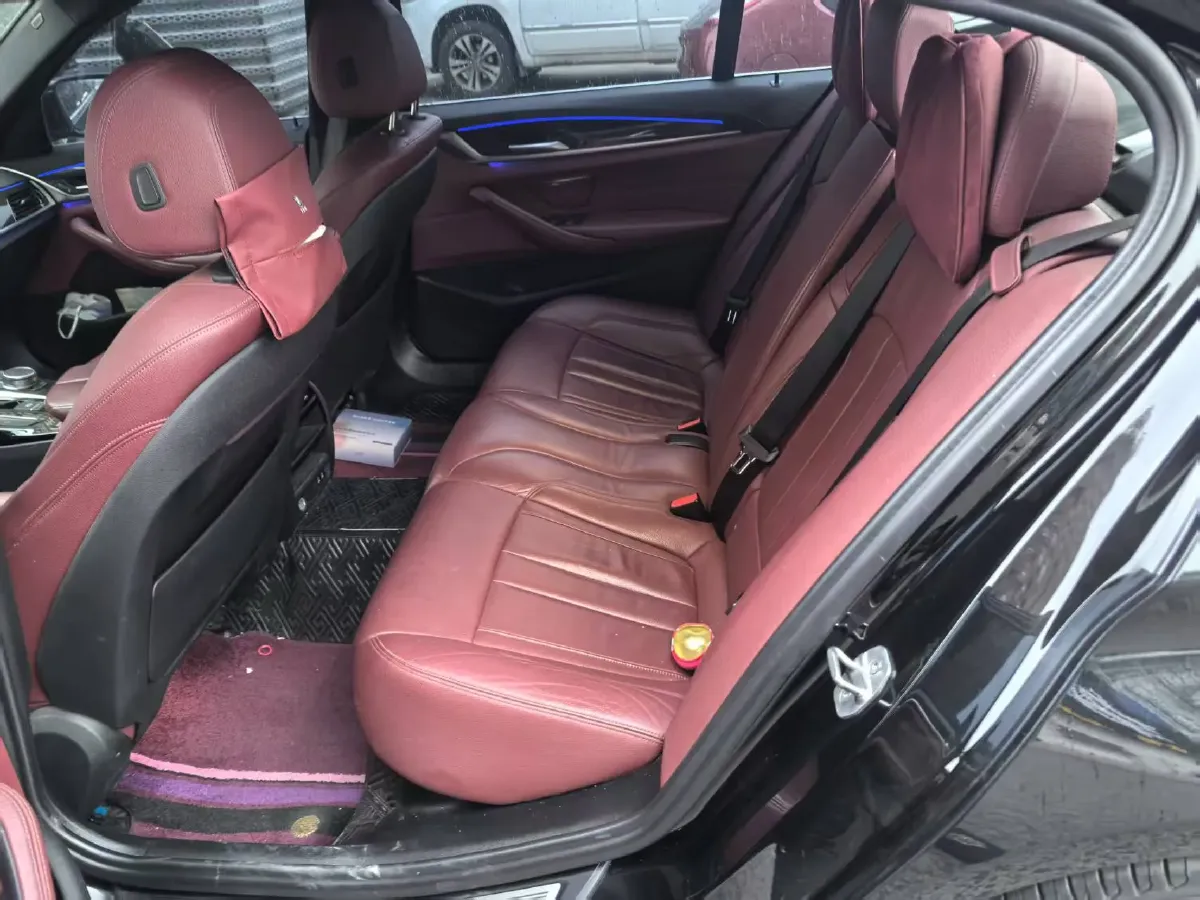 2020 BMW 5 Series 2.0T 252HP L4 8AT,autocango,china used car exporter,china ev exporter,chinese used car exporter,chinese used ev exporter