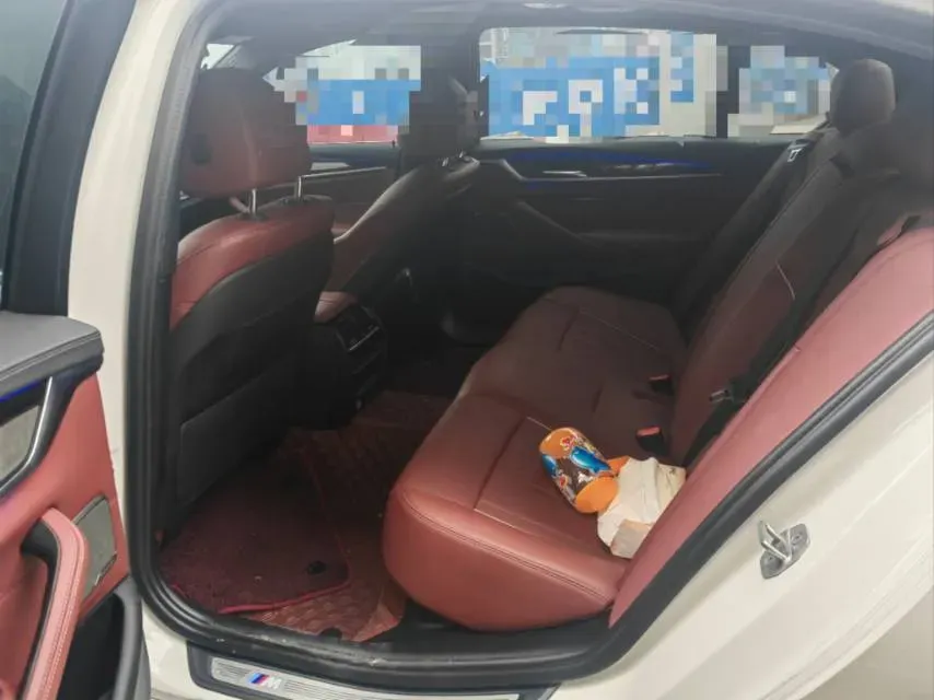 2022 BMW 5 Series 2.0T 184HP L4 8AT,autocango,china used car exporter,china ev exporter,chinese used car exporter,chinese used ev exporter