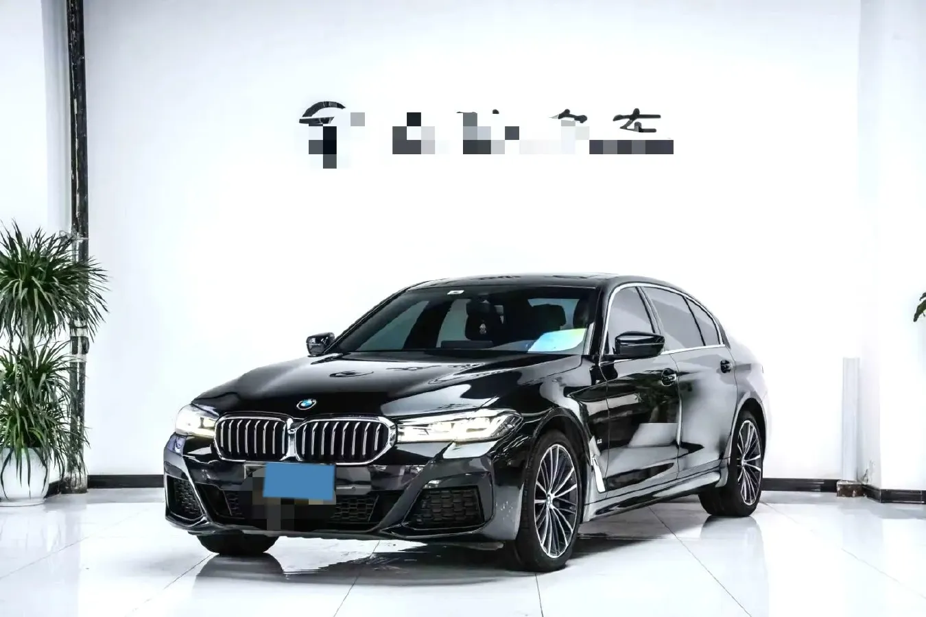 2022 BMW 5 Series 2.0T 252HP L4 8AT,autocango,china used car exporter,china ev exporter,chinese used car exporter,chinese used ev exporter
