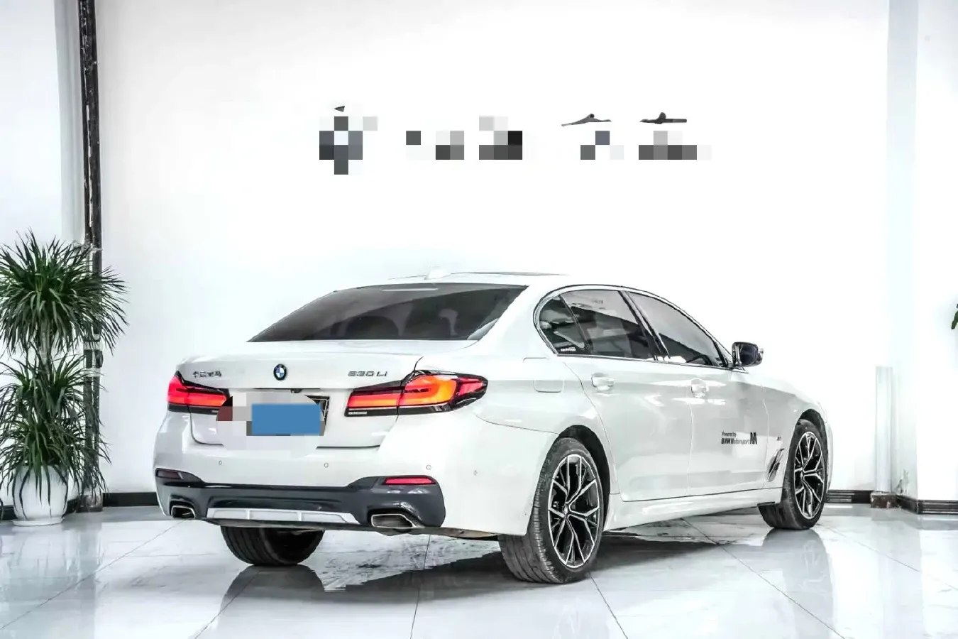 2021 BMW 5 Series 2.0T 252HP L4 8AT,autocango,china used car exporter,china ev exporter,chinese used car exporter,chinese used ev exporter